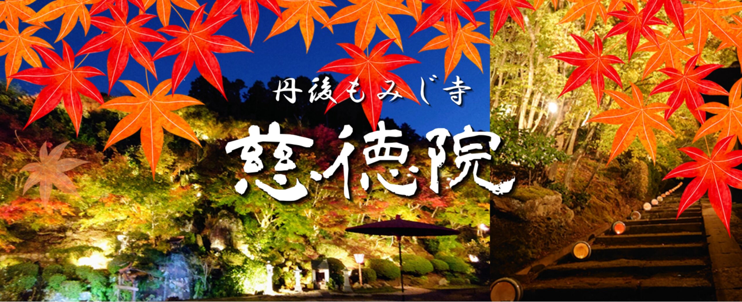 【丹後紅葉寺 慈徳院】<br>恒例の慈徳院 紅葉ライトアップ！ 今年は11/9～11/23迄の開催が決定しました！